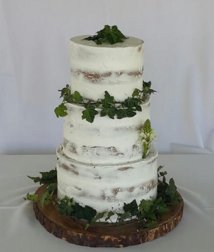 Tarta naturaleza